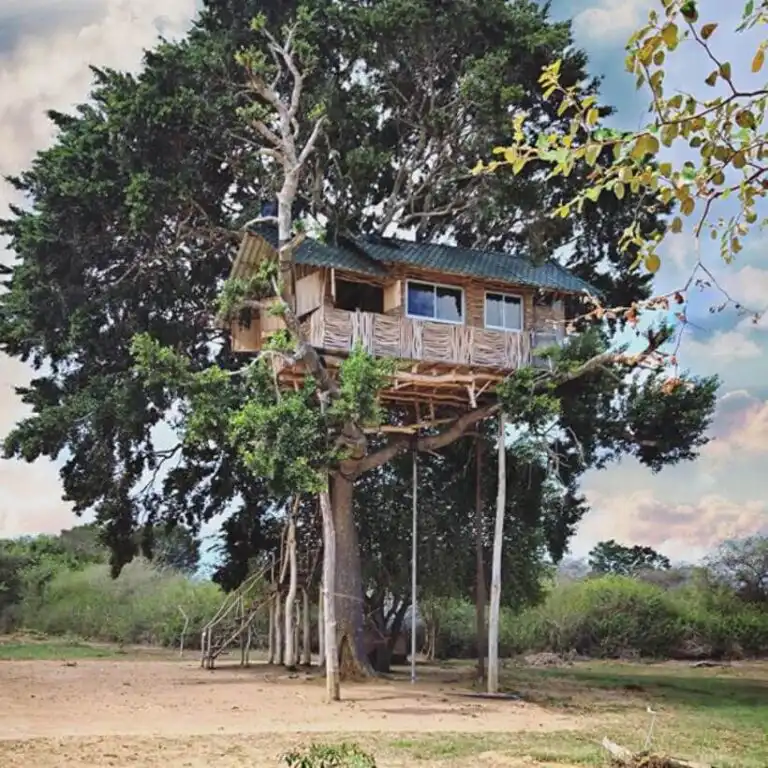 Sri Lanka Travel Guide - Ein hölzernes Baumhaus mit grünem Dach sitzt hoch oben in einem großen Baum, gestützt von Stelzen und Ästen. Eine Leiter führt zum Eingang hinauf, und eine Seilschaukel hängt am Baum. Die Umgebung ist offenes Land mit spärlichem Baumbestand. - Travel Eat Love - Sri Lanka