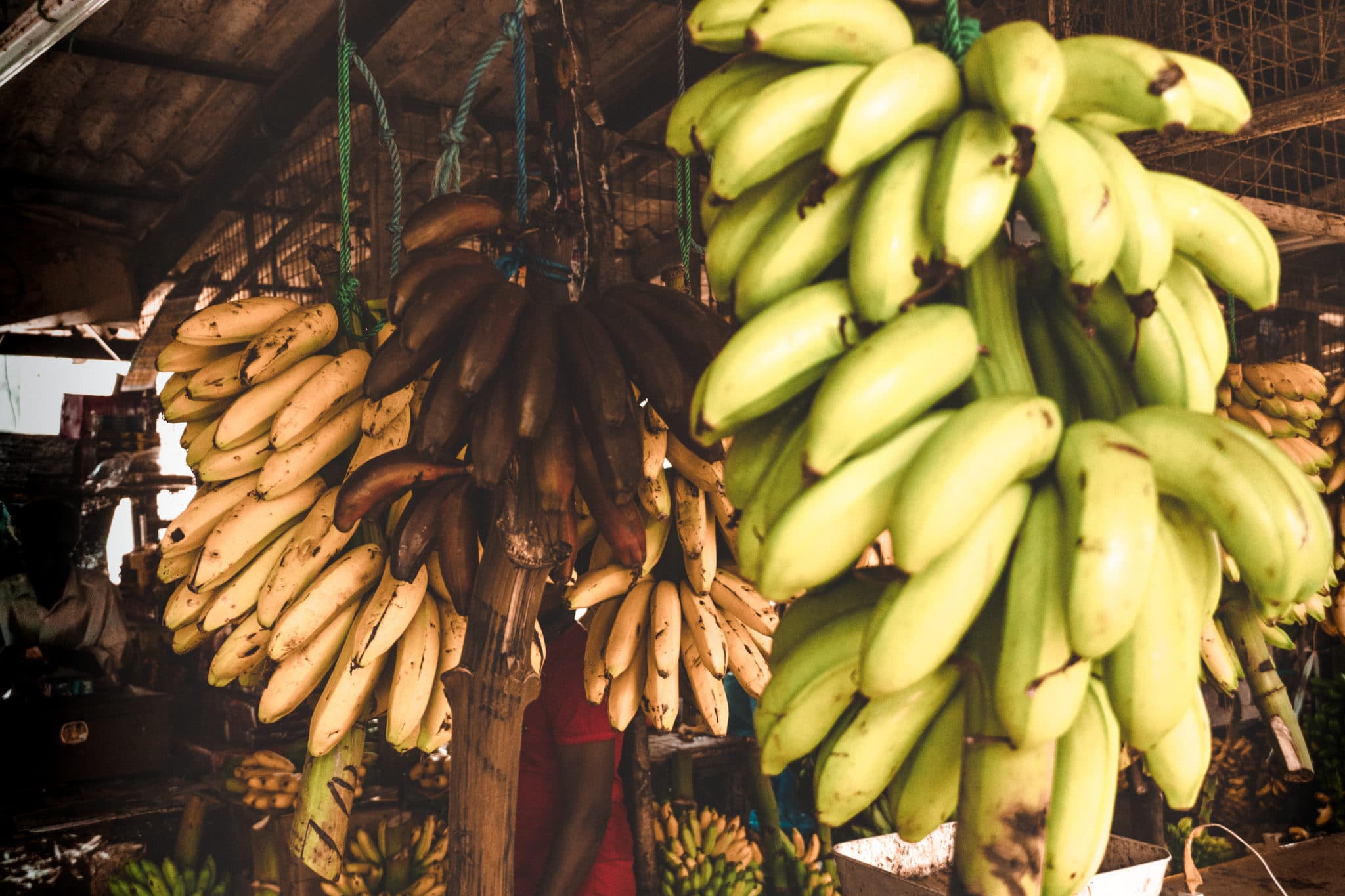 Bananas in Sri Lanka