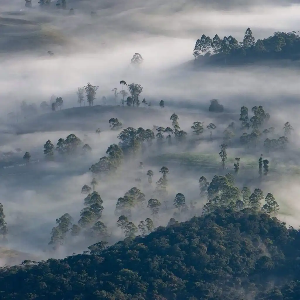 hill country sri lanka one would never guess that underneath that misty haze lies an endless expanse t20 OoO9Ky