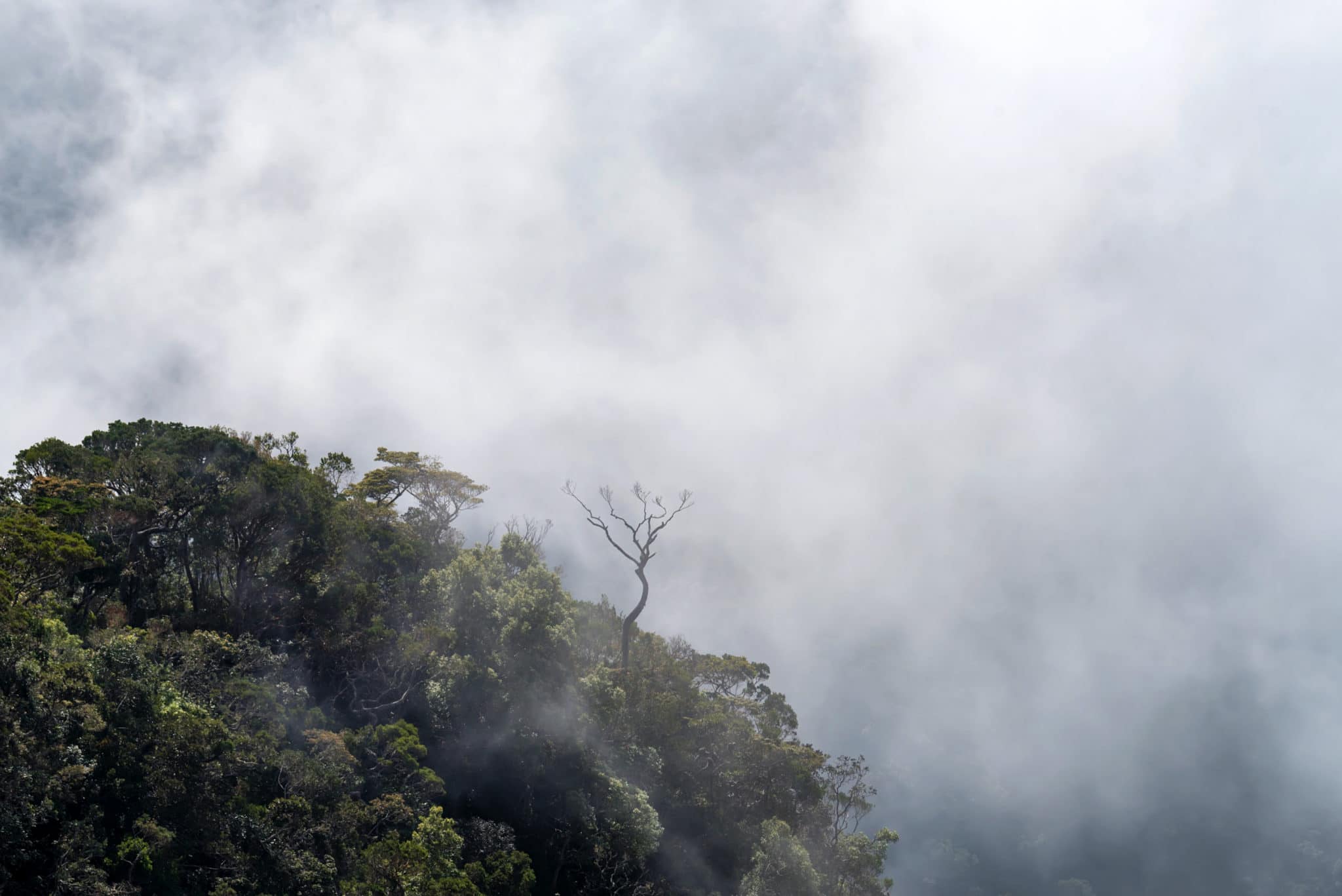 Horton Plains