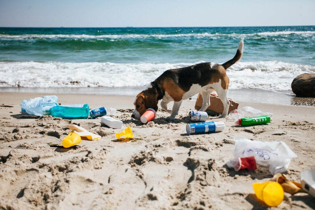 Rifiuti di plastica in spiaggia a Bali