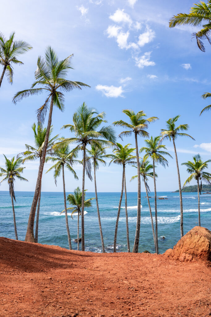 Famous Coconut Tree Hill in Mirissa, Sri Lanka Beach next to the Indian Ocean