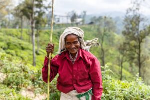 ELLA, SRI LANKA - JAN 17, 2017: selective focus of smiling senior asian woman on hill in Asia