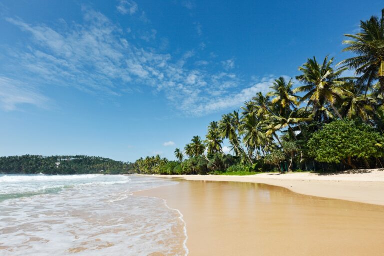 Idyllic beach. Sri Lanka