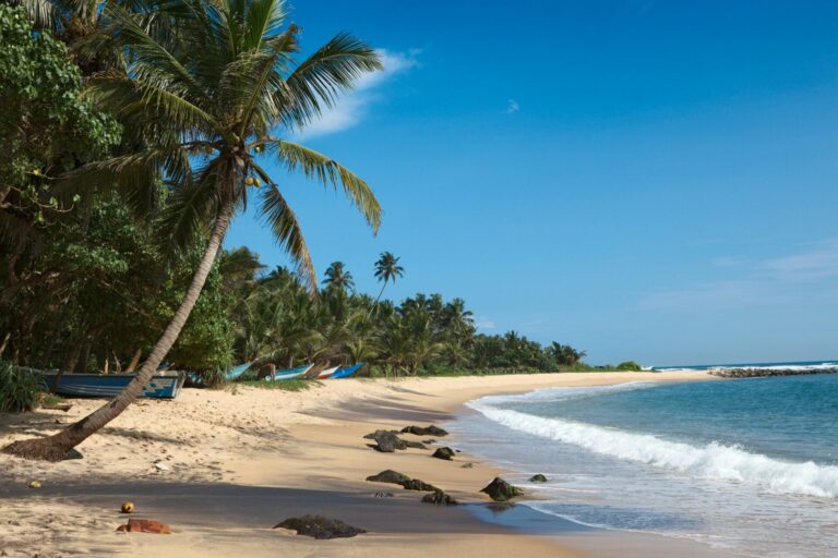Idyllic beach. Sri Lanka