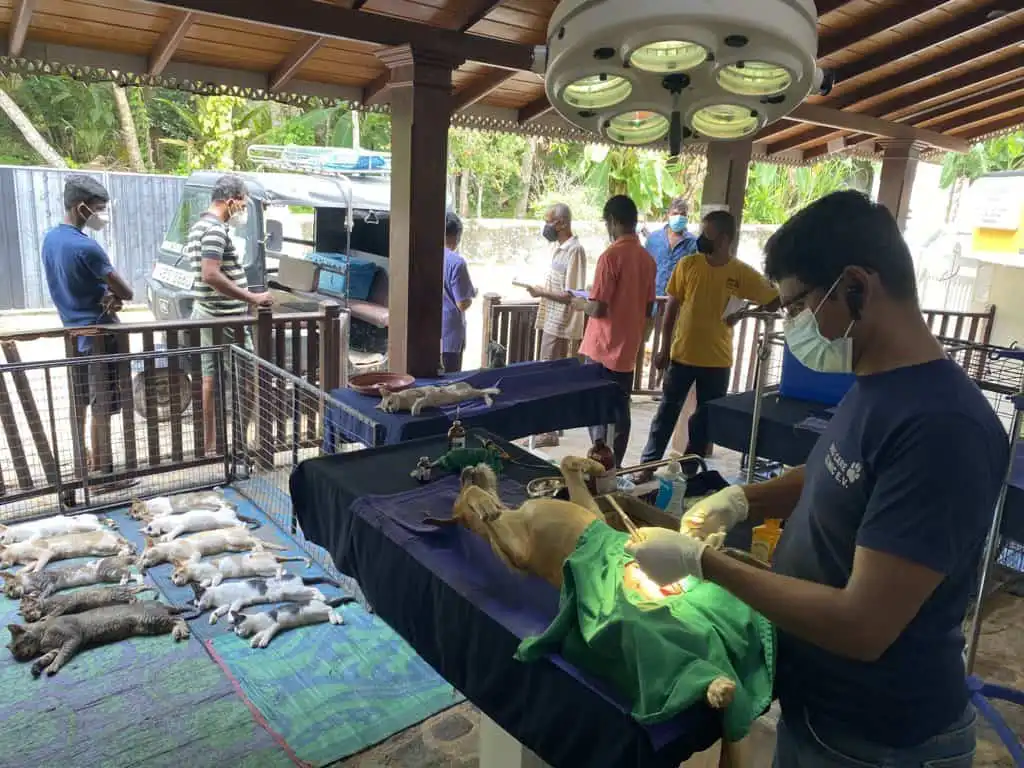 Field Clinic 2021 07 02 6 DCC