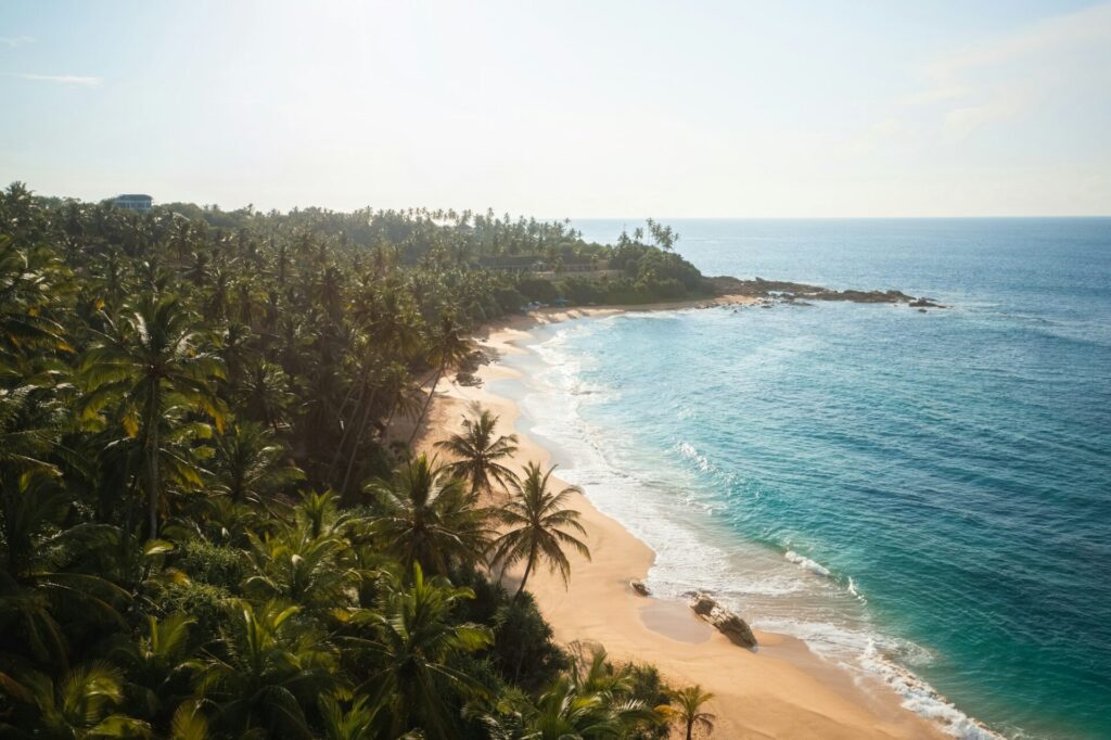 Beautiful sandy beach with palm trees and sea surf with waves. Silent Beach, Sri Lanka.