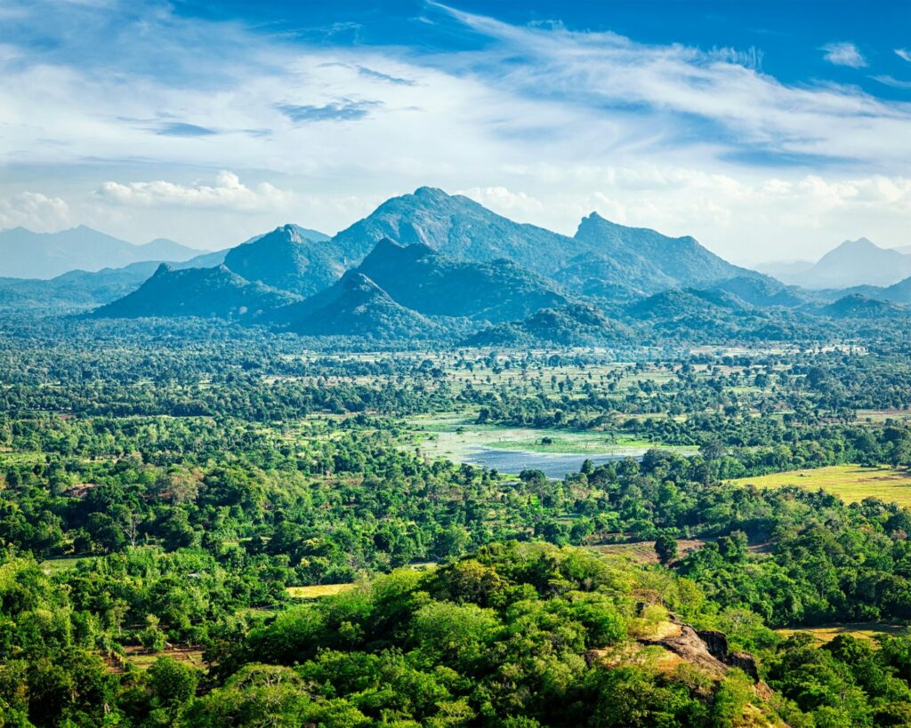 Sri Lankan landscape