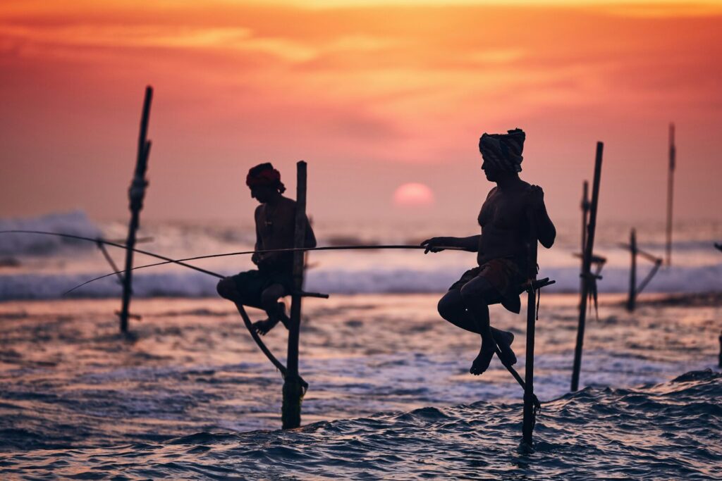 Traditional stilt fishing in Sri Lanka