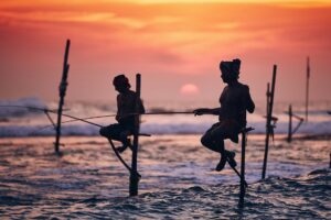 Traditional stilt fishing in Sri Lanka