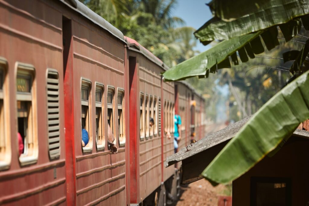 Selective focus on red train passing on railroad track between palm trees. Railway in Sri Lanka.