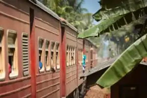 Selective focus on red train passing on railroad track between palm trees. Railway in Sri Lanka.