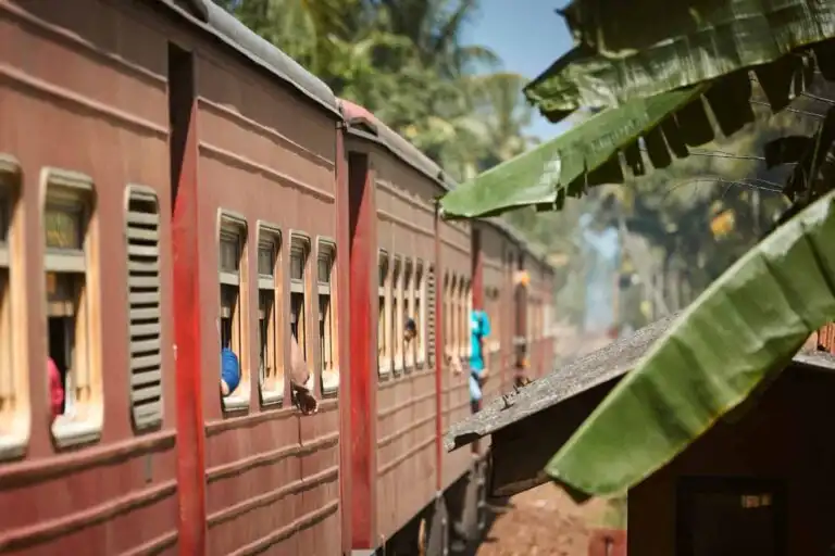 Selective focus on red train passing on railroad track between palm trees. Railway in Sri Lanka.