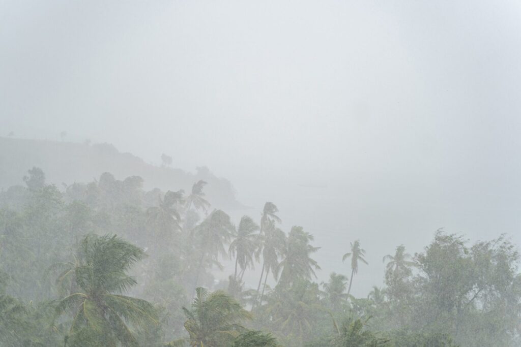 Sudden heavy tropical rain darkening the sky