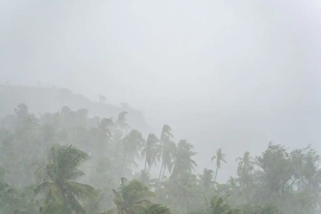 Sudden heavy tropical rain darkening the sky