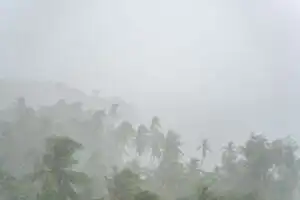 Sudden heavy tropical rain darkening the sky