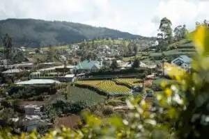 Landscape view of Nuwara Eliya with tea plantations in mountains of Sri Lanka