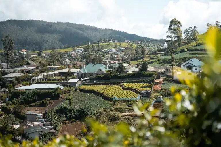 Landscape view of Nuwara Eliya with tea plantations in mountains of Sri Lanka