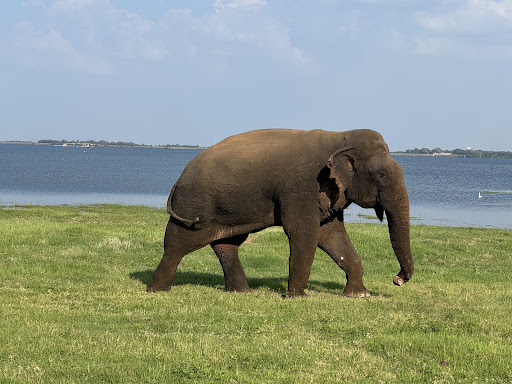 Über Uns - Travel Eat Love 80 media thumbnail 0