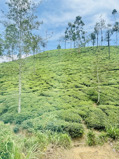 Über Uns - Travel Eat Love 83 media thumbnail 3