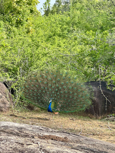 Über Uns - Travel Eat Love 84 media thumbnail 4