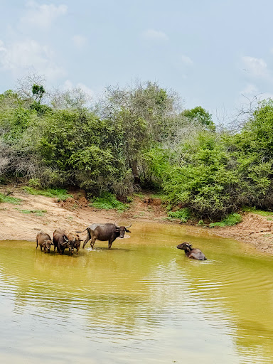 Über Uns - Travel Eat Love 85 media thumbnail 5