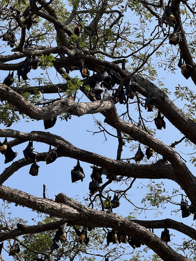 Über Uns - Travel Eat Love 86 media thumbnail 6