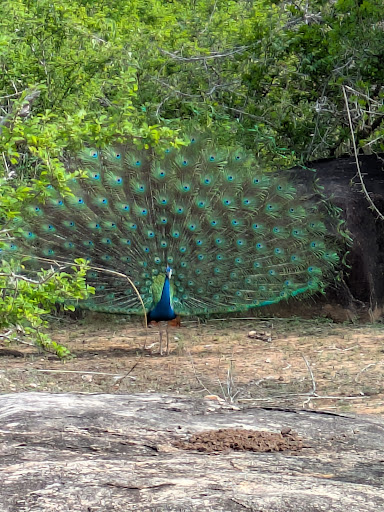 Über Uns - Travel Eat Love 72 media thumbnail 0