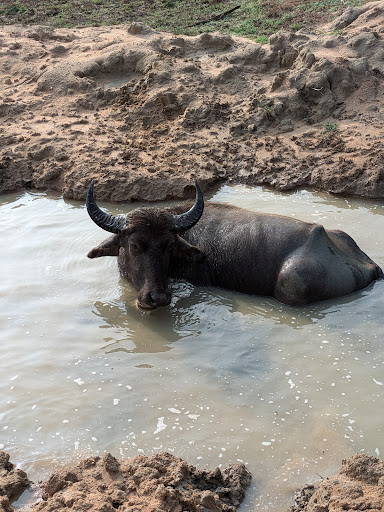 Über Uns - Travel Eat Love 73 media thumbnail 1