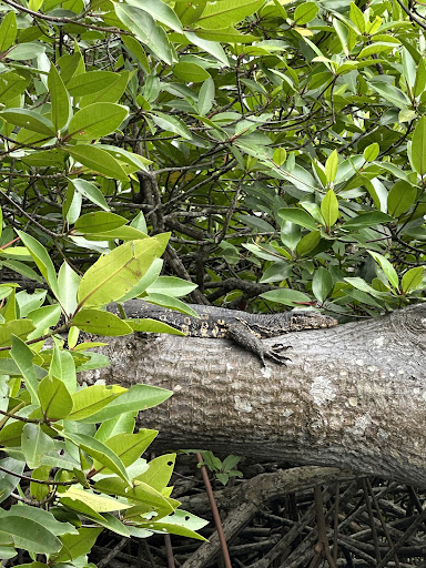 Über Uns - Travel Eat Love 50 media thumbnail 3