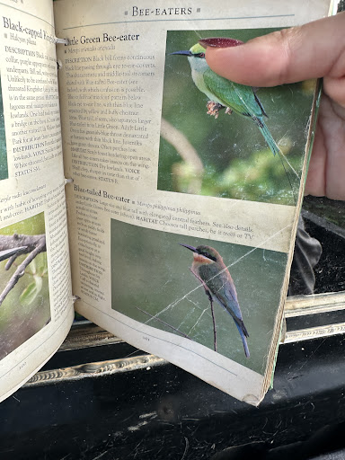 Über Uns - Travel Eat Love 54 media thumbnail 7