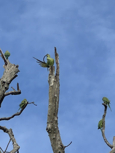 Über Uns - Travel Eat Love 55 media thumbnail 8