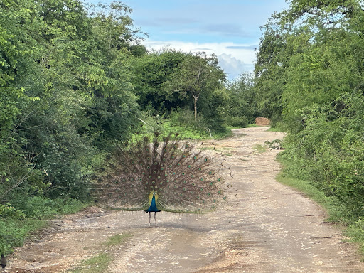 Über Uns - Travel Eat Love 56 media thumbnail 9