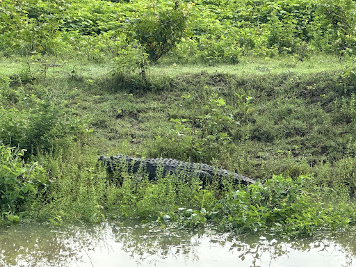 Über Uns - Travel Eat Love 57 media thumbnail 10