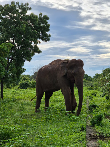 Über Uns - Travel Eat Love 59 media thumbnail 12